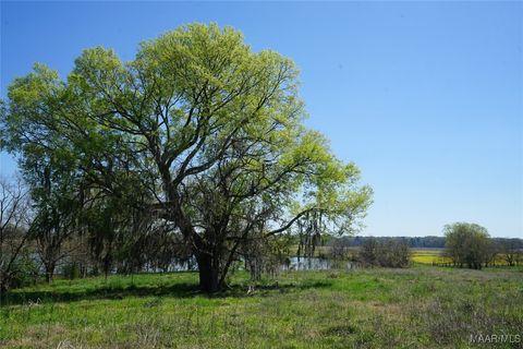 Photo of 9445 Woodley Road, Ramer, AL 36069 (MLS # 576936)