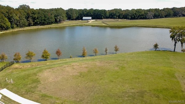 370 HERON HL, PIKE ROAD, AL 36064 - Image cda98a22528eced3ad0cfbbfe3ea93ec/316181739