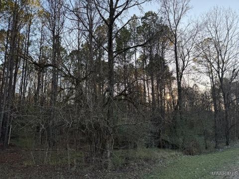 Photo of 0 Hayneville Ridge Road, Mathews, AL 36052 (MLS # 582967)