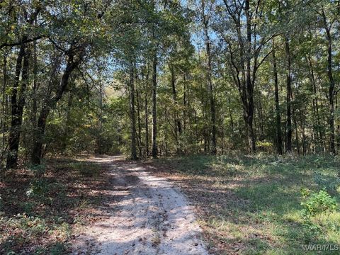 Photo of 00 Williams Mill Road, Clayton, AL 36016 (MLS # 580605)