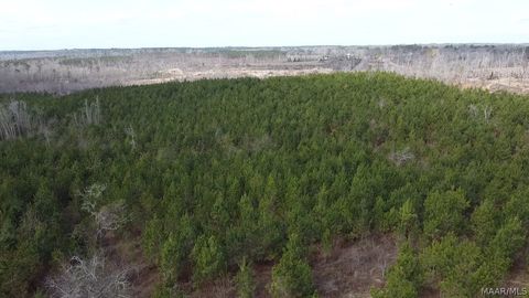 Photo of 0 Butter and Egg Road, Troy, AL 36081 (MLS # 584523)