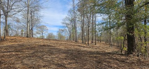 Photo of 1200 County Road 375, Billingsley, AL 36006 (MLS # 582384)