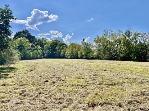 Photo of 1122 Jackson Lake Road, Millbrook, AL 36054 (MLS # 590072)