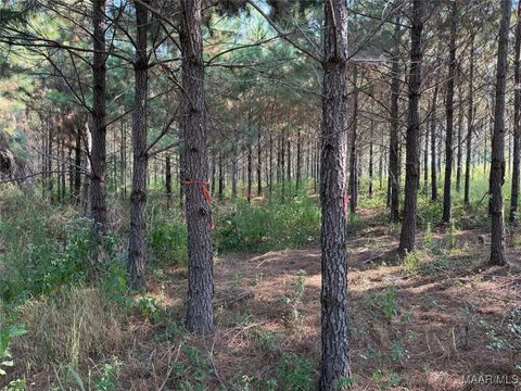 Photo of 1 Grass Farm Road, Titus, AL 36080 (MLS # 579634)