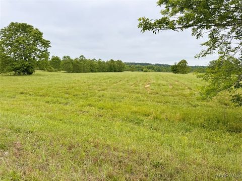 Photo of 181 Meriwether Trace, Pike Road, AL 36064 (MLS # 575706) Photo of 181 Meriwether Trace, Pike Road, AL 36064 (MLS # 575706)