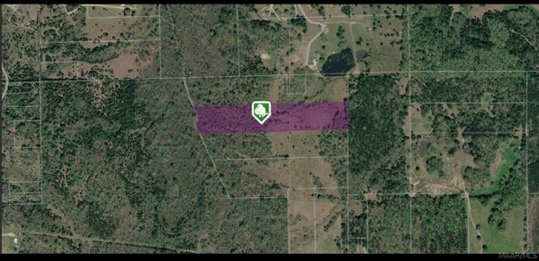 COUNTY RD 33, LETOHATCHEE, AL 36047 - Image d7d4ab9cf67de5d421a3003e3c29a0ea/3689820775