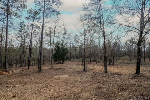 Photo of 742 Ethan Lane, Prattville, AL 36067 (MLS # 579765)