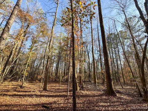 Photo of 1 Jug Factory Road, Redland, AL 36093 (MLS # 567033) Photo of 1 Jug Factory Road, Redland, AL 36093 (MLS # 567033)