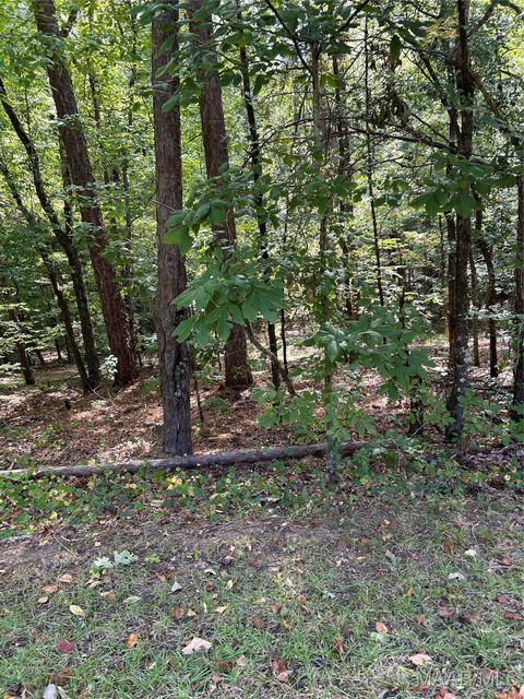 Photo of 102 Beach Island Trace, Dadeville, AL 36853 (MLS # 579646)