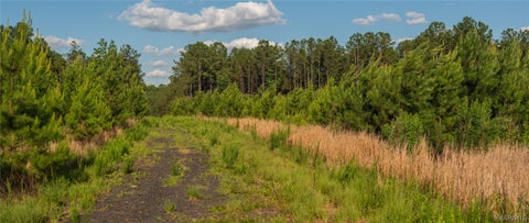 Photo of 0 Milldale Road, Brookwood, AL 35444 (MLS # 587560)
