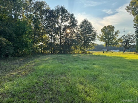 Photo of 331 Old Barnes Road, Mathews, AL 36065 (MLS # 590747)