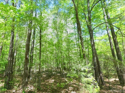 Photo of 0 County Road 19, Hardaway, AL 36039 (MLS # 587582)