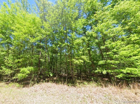 Photo of 0 County Road 19, Hardaway, AL 36039 (MLS # 587582)