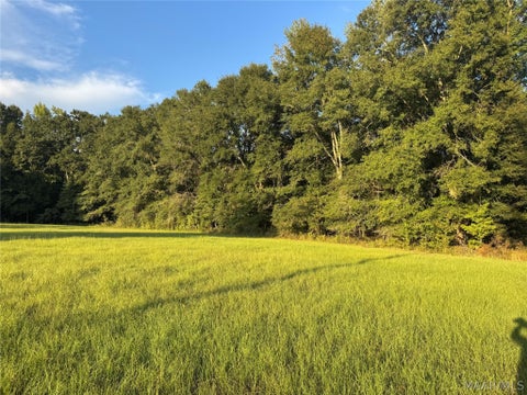Photo of 359 Old Barnes Road, Mathews, AL 36052 (MLS # 590780)
