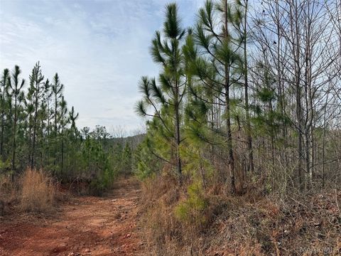 Photo of 00 Valley Road, Goodwater, AL 35106 (MLS # 587774)