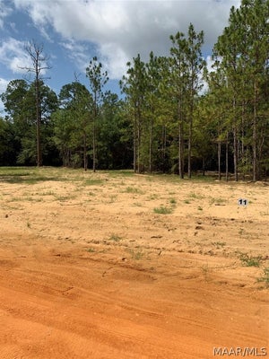 11 DEAR DR, CAMDEN, AL 36726 - Image df33a2bc98b6c77988238a2cae321ccf/623321156