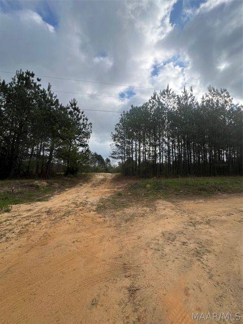 Photo of 0000 Highway 82 Highway, Billingsley, AL 36066 (MLS # 585115)
