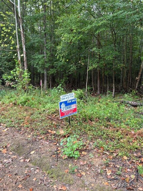 Photo of 00 County Road 157 Road, Selma, AL 36701 (MLS # 579268)