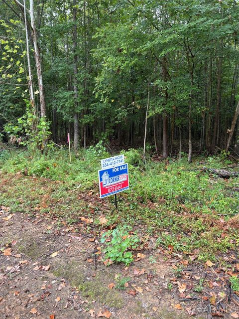 Photo of 00 County Road 157 River, Selma, AL 36701 (MLS # 579268)