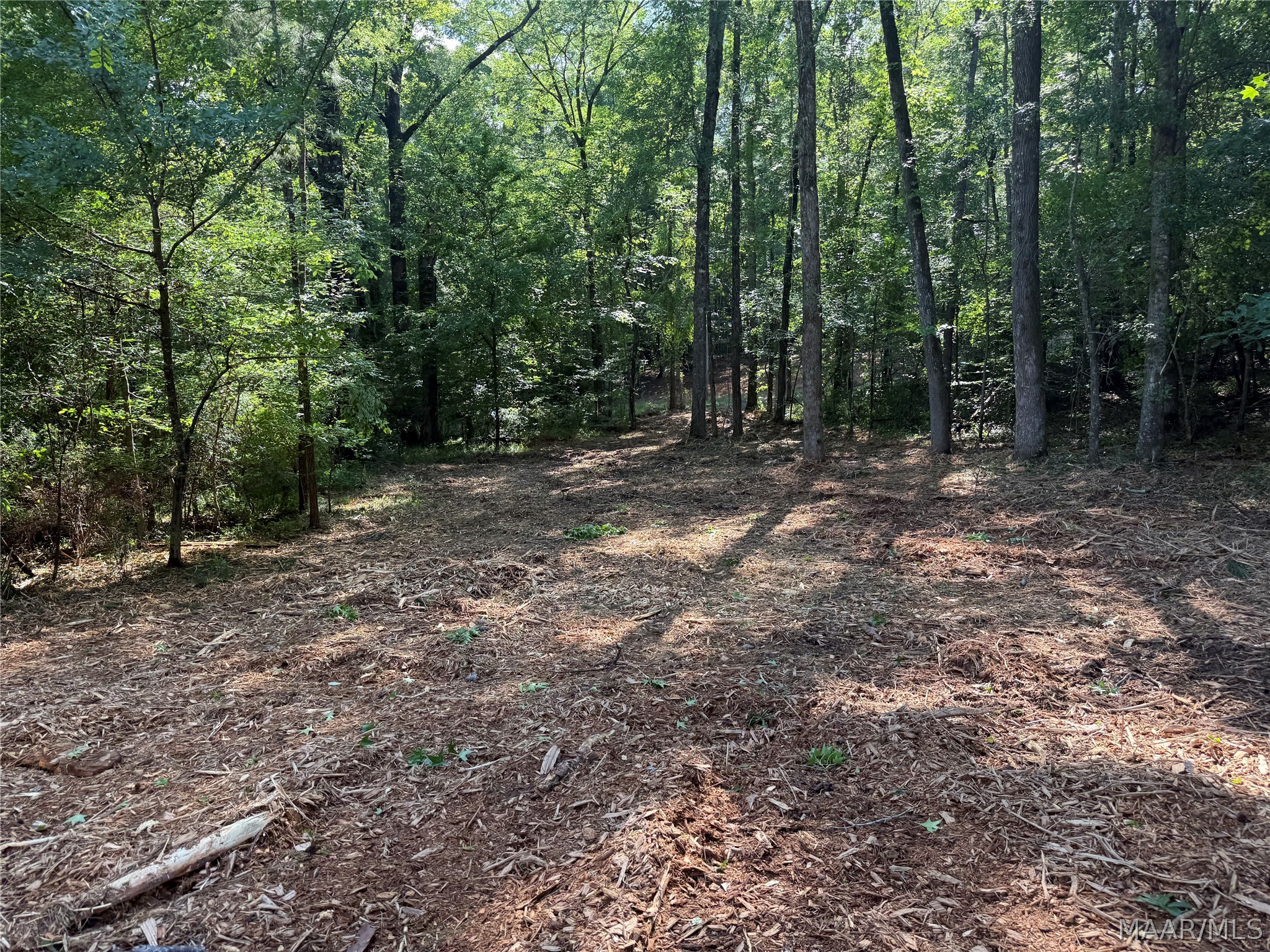 Photo 1 of 5 — 2350 Spigener Road, Titus, AL 36080