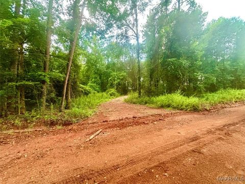 Photo of 101 Tyson Lane, Greenville, AL 36037 (MLS # 578234)