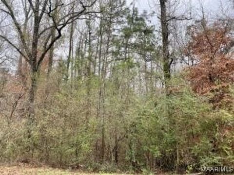 Photo of 43 Althea Loop, Alexander City, AL 35010 (MLS # 574091) Photo of 43 Althea Loop, Alexander City, AL 35010 (MLS # 574091)