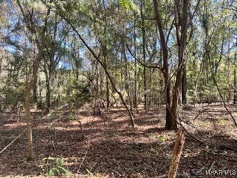 Photo of 0 County Road 2202, Goshen, AL 36035 (MLS # 581830)