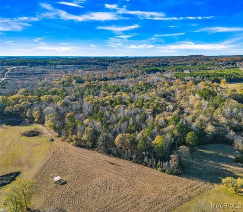 Photo of 182 County Road 29, Prattville, AL 36067 (MLS # 582276)