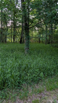 57 RIVER OAKS LNDG, ORRVILLE, AL 36767 - Image e4dd7940e76c8d316b68c5a22c20e7b9/2371555658