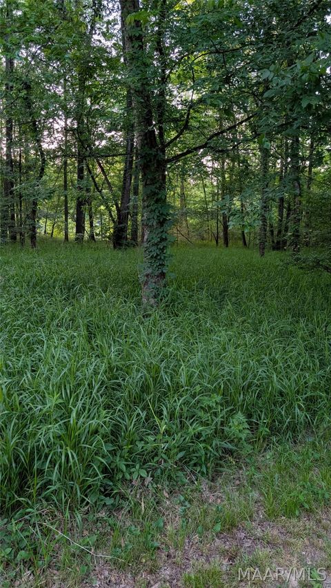 Photo of 26 River Oaks Landing, Orrville, AL 36767 (MLS # 587132)