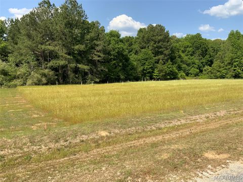 Photo of 0 County Rd 8 Road, Tuskegee, AL 36083 (MLS # 585919)