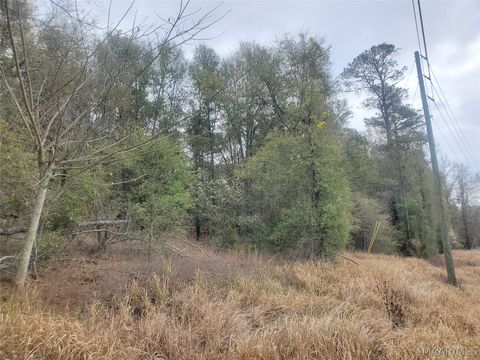 Photo of 1 Pleasant Hill Road, Gilbertown, AL 36908 (MLS # 584725)