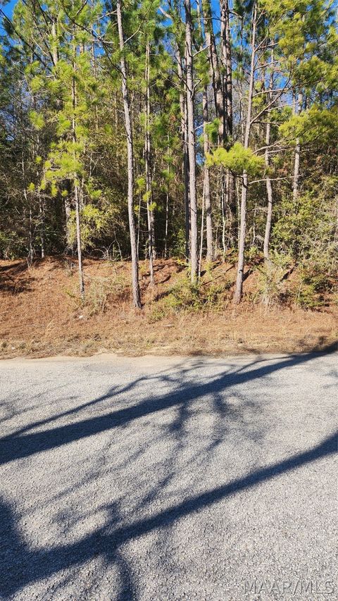 Photo of 19 Lakeshore Drive E, Tuskegee, AL 36083 (MLS # 583557)