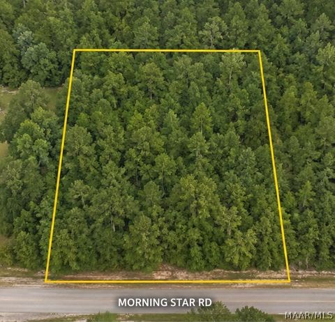 Photo of 0 Morning Star Road, Whatley, AL 36482 (MLS # 586791)