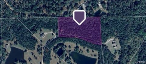 Photo of 343 Pintail Lane, Letohatchee, AL 36047 (MLS # 579160)