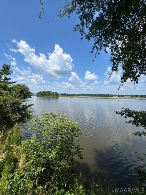 Photo of 3 Prairie Bluff, Catherine, AL 36728 (MLS # 588275)