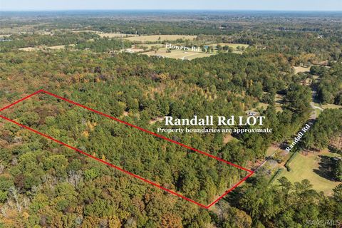 Photo of 000 Randall Road, Cecil, AL 36013 (MLS # 586352)