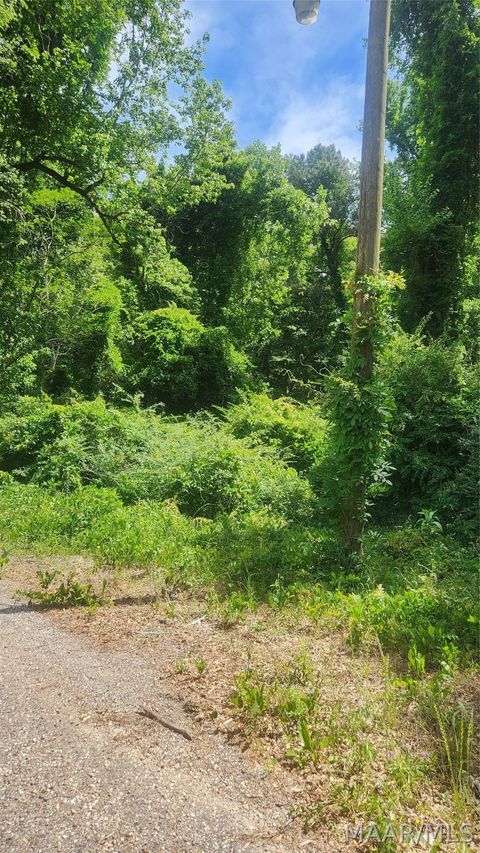 Photo of 000 Watkins Street, Tuskegee, AL 36083 (MLS # 585998)