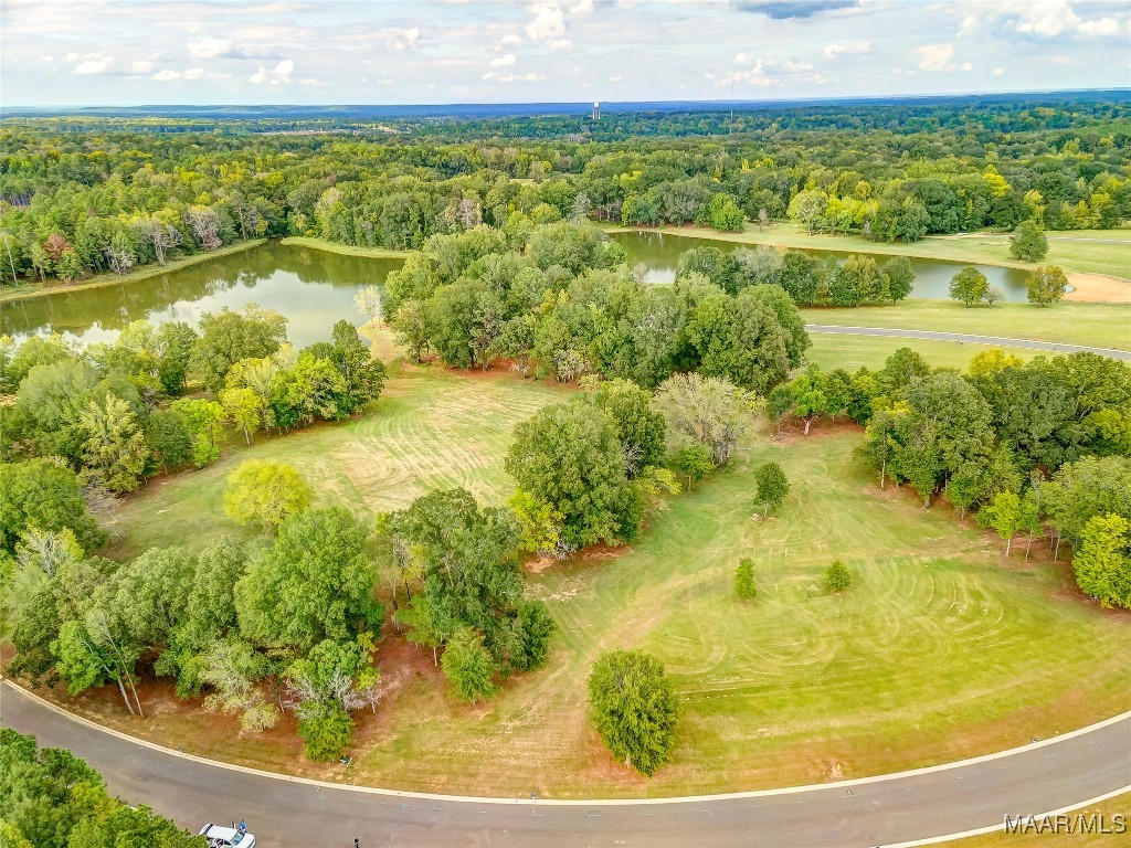 Photo 1 of 1 — Lot 42 Hidden Oaks Avenue, Pike Road, AL 36064