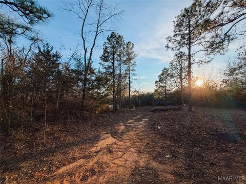 Photo of 239 County Road 62, Prattville, AL 36067 (MLS # 582496)