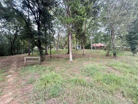 Photo of 222 County Road 65, Valley Grande, AL 36701 (MLS # 590234)