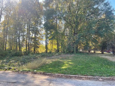 Photo of 153 Meadows Drive, Springville, AL 35146 (MLS # 580640)