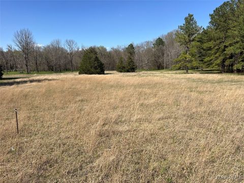 Photo of 0 Barganier Road, Cecil, AL 36013 (MLS # 572423) Photo of 0 Barganier Road, Cecil, AL 36013 (MLS # 572423)