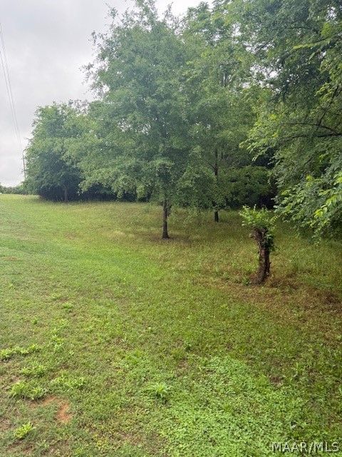 Photo of 3 Coosa River Road, Deatsville, AL 36022 (MLS # 586634)