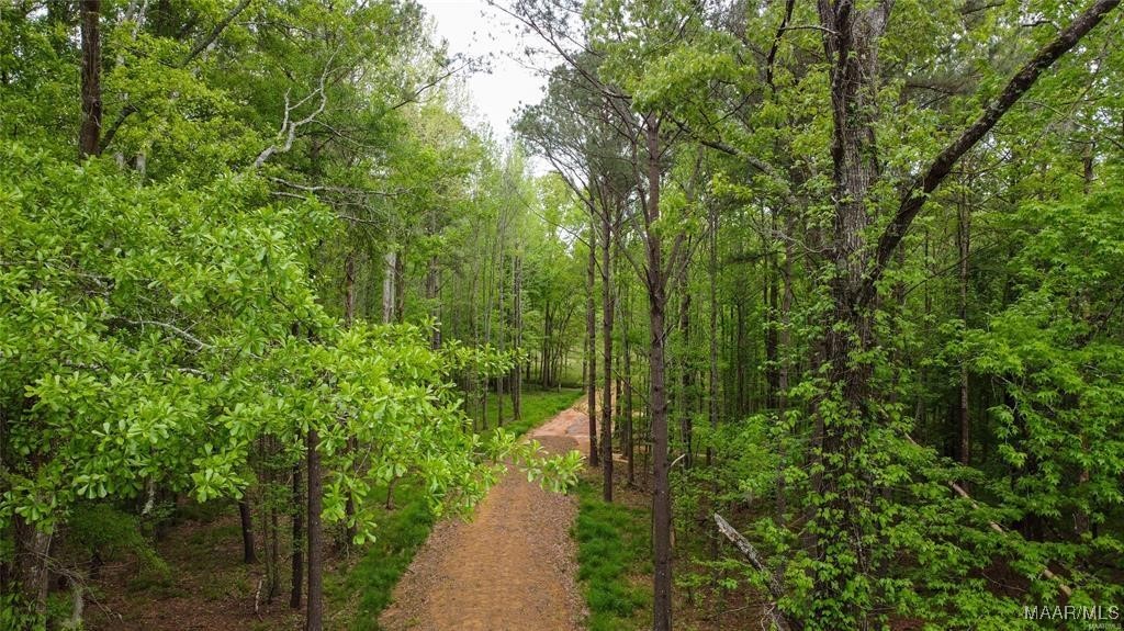 Photo 1 of 5 — 0 Pugh Road, Mathews, AL 36052