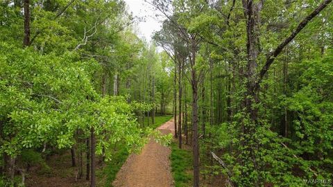 Photo of 0 Pugh Road, Mathews, AL 36052 (MLS # 563813) Photo of 0 Pugh Road, Mathews, AL 36052 (MLS # 563813)