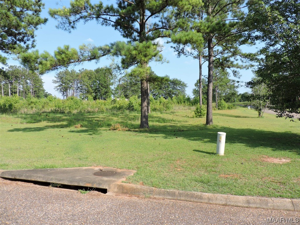 Photo 1 of 2 — Lot G1 Longleaf Lane, Greenville, AL 36037