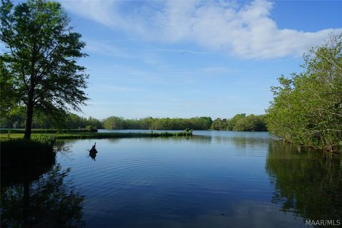 Photo of 0 Milly Branch Road, Pike Road, AL 36064 (MLS # 585231)