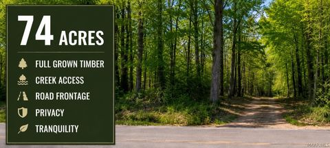 Photo of 0 County Road 4, Greensboro, AL 36744 (MLS # 584352)