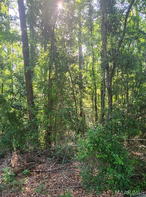 Photo of 000 Watkins Street, Tuskegee, AL 36083 (MLS # 558924) Photo of 000 Watkins Street, Tuskegee, AL 36083 (MLS # 558924)